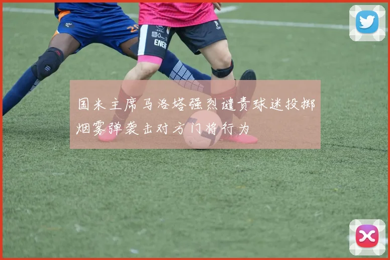 国米主席马洛塔强烈谴责球迷投掷烟雾弹袭击对方门将行为